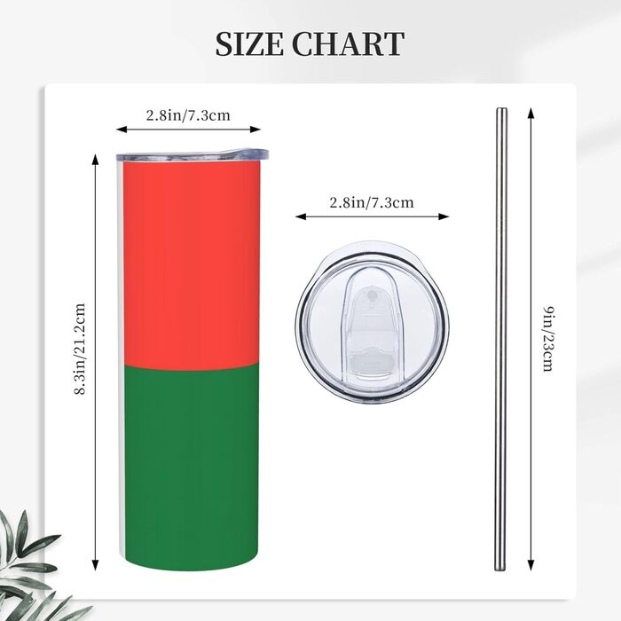 Кухоль з прямою трубочкою, дизайн Прапор Мадагаскару, дорожній кухоль з принтом, підходить для кемпінгу, офісу та дому, 590 мл