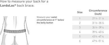 Корсет для живота, типу LordoLoc Bauerfeind 5 титановий