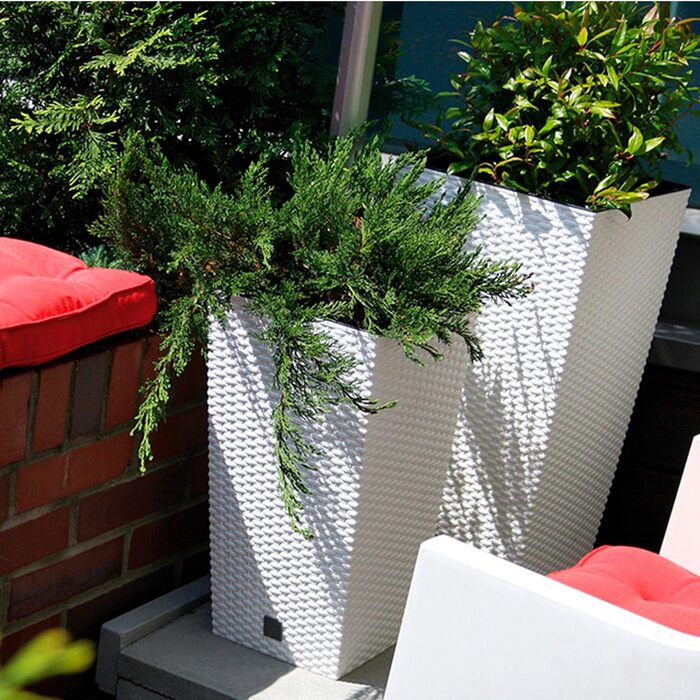 Каструля Time Cabinet об&39ємом 91,5 літра з вкладишем 40 x 40 x 75 см кольору антрацит