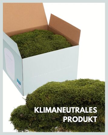 Пластинчастий мох довго зберігав природний зелений Декоративні стінові мохові панелі довговічні Картина з моху своїми руками зроби сам Килимок із натурального зеленого моху, 300 г, Living in Green