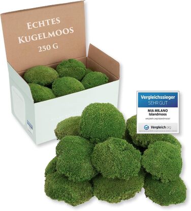 Шаровий мох зберігся Справжній мох для малюнків моху Міцний мох для рукоділля Водостійкий натуральний зелений ісландський мох (250г)