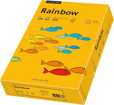 Папірус 88042414 принтер/копіювальний папір кольоровий Rainbow 120 г/м DIN-A4, кольоровий папір 250 аркушів, середньо-помаранчевий