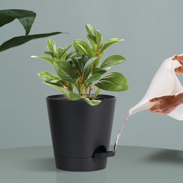 Набір з 6 самополивних квіткових горщиків, горщики для рослин 17,8 см із системою поливу, кашпо з блюдцем, набір квіткових горщиків, ідеально підходить для кімнатних та балконних садів, чорний 17,8 см чорний