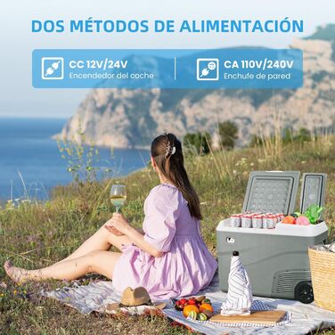 Портативний електричний холодильник, 38 л, подвійна зона охолодження, портативний, 12 В / 24 В постійного струму 100 240 Вольт змі