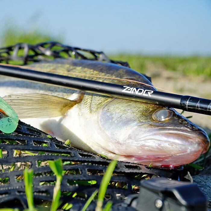 Прогумований сачок від Sebastian Hnel - сачок для судака