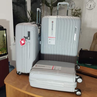 Валіза Swissbrand Narberth (M) Grey (SWB_LHNAR801M)