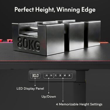 Ігровий стіл FLEXISPOT з електричним регулюванням висоти, світлодіодною стрічкою та системою керування кабелями, подвійним двигуном, 4 слотами пам&39яті, тихим регулюванням висоти підходить для домашнього офісу та ігор, 120 x 70 см, чорний