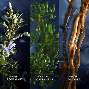 Чоловіча туалетна вода Davidoff Cool Water Reborn (75 мл)