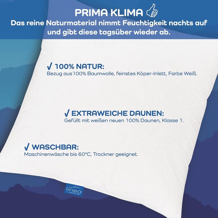 Від Bhmerwald - затишна - високоякісна розкішна подушка, надзвичайно м&39яка, 40x80 см, 100 білий новий пух, підходить для алергіків, можна прати при температурі до 60C, зроблено в Німеччині, 40 x 80 см, надзвичайно м&39яка підтримка та комфорт
