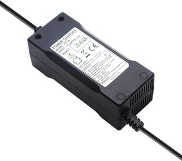 Зарядний кабель для блоку живлення Abakoo 117 Вт, як HP1202L2, для велосипедних акумуляторів 24 В