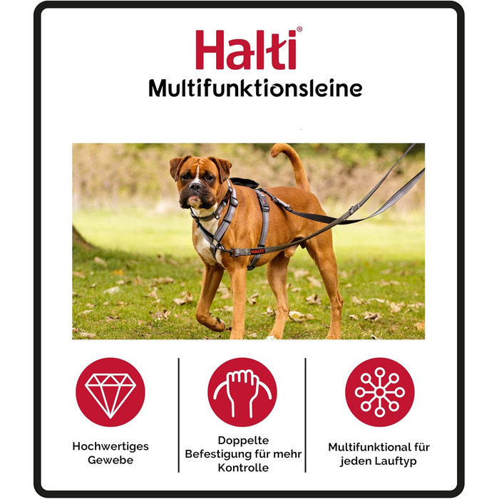 Багатофункціональний повідець тренувальний повідець з неопреновим помякшенням, світловідбиваючою стрічкою 3M та регульованою довжиною. Підходить для собак середніх та великих порід (розмір L, фіолетовий) Фіолетовий L