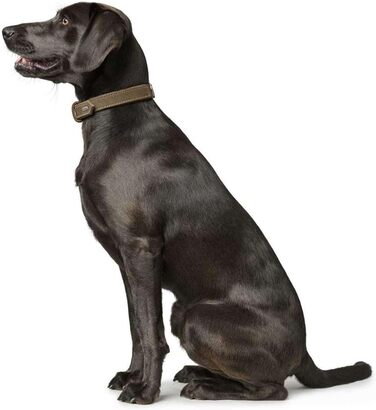 Нашийник для собак HUNTER, шкіра нубук, міцний, м'який, 60 см (M-L), оливковий