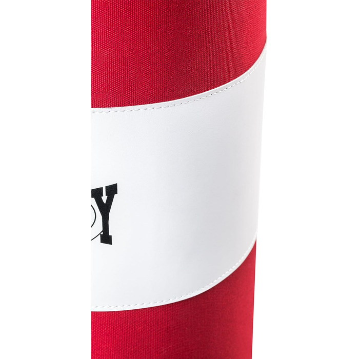 Боксерський набір Bad Company для дітей та підлітків до 12 років I Боксерська груша з підвіскою 55 х 25 см і боксерськими рукавичк