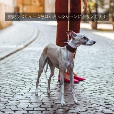 Ошийник для собак Ferplast VIP CW15/32, шкіряний, м'яко підбитий, ширина 1,5 см, обхват шиї 26-32 см, коричневий