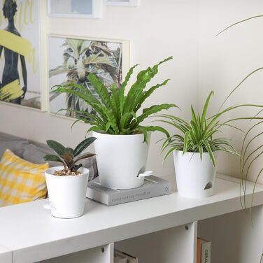 Пластиковий квітковий горщик T4U з системою поливу, набір із 6 самополивних кашпо з блюдцями, круглі кашпо для кімнатних та балконних садових рослин, сукулентів, кактусів (20 см, білий) 20 см білий