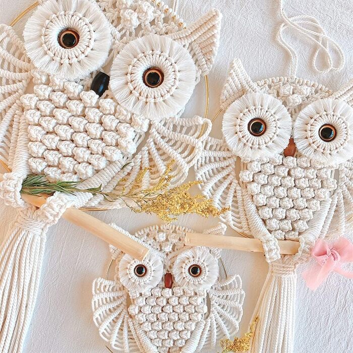 Сови макраме настінне макраме настінне оздоблення ручної роботи бохо орнамент настінного мистецтва вішалка для прикраси будинку оф