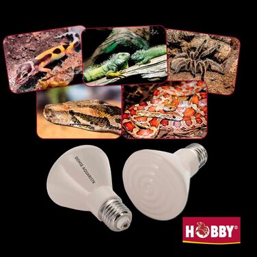 Лампа нагрівальна Hobby 37080 Elstein IOT / 75, 60 Вт, біла, (1 упаковка)