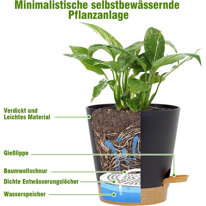 Упаковок квітковий горщик самополивний, 20.3/17.8/16.5/15.2/14/12.7см горщик для рослин з системою зрошення, сівалка з блюдцем, на