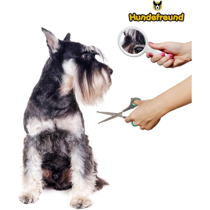 Набір ножиць для собак Hundefreund з філіровочними ножицями для догляду за шерстю Ножиці з нержавіючої сталі із заокругленими кінчиками для грумінгу собак