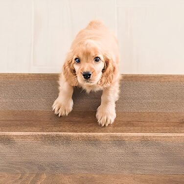 Килимки для сходів, протиковзкий килимок, 15 шт. 60x15 см, для внутрішніх сходів, протиковзкий килимок з роликом, водонепроникний самоклеючий килимок для дерев&39яних сходів, комплект