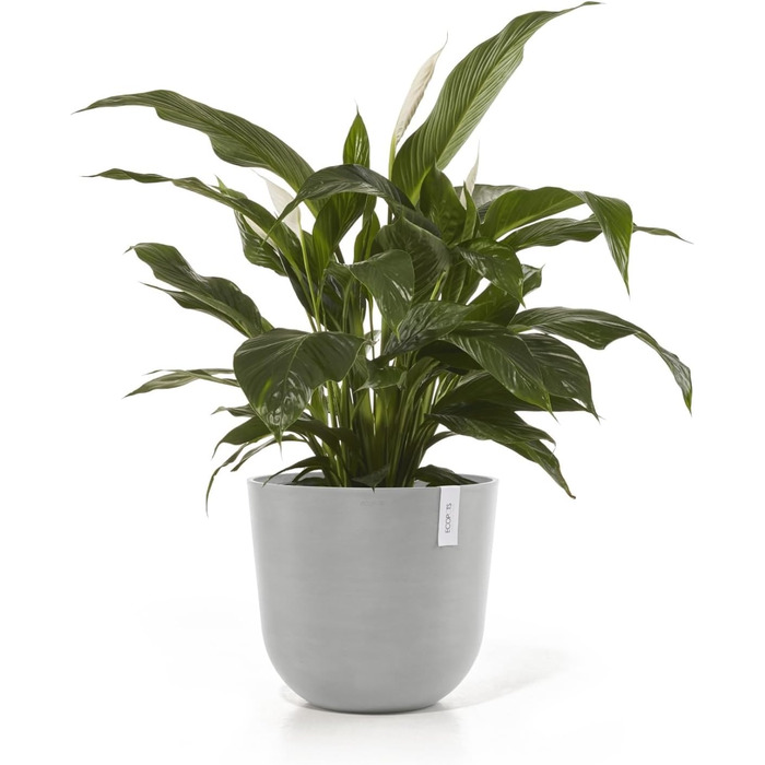 Горщик для рослин Ashortwalk Oslo Bell з переробленого пластику (Ø 25 см x В 21,8 см) (біло-сірий) Вуличні квіткові горщики Всепогодні квіткові горщики (Біло-сірий, 46,6 x 45 x 39,2 см) 45 см Біло-сірий