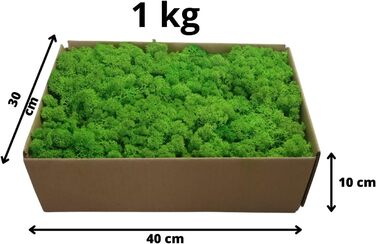 Ісландський норвезький мох Hello Moss 0,5/1 кг - консервований живий мох, повністю органічний - ідеальне прикраса з моху на Великдень, різдвяні прикраси - ремісничий мох, тераріумний мох (1 кг, зелене світло трави)