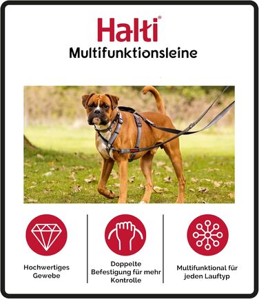 Багатофункціональний повідець тренувальний повідець з неопреновим помякшенням, світловідбиваючою стрічкою 3M та регульованою довжиною. Підходить для собак середніх та великих порід (розмір L, фіолетовий) Фіолетовий L