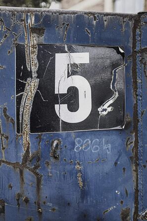 Самокат Yedoo Five kick - до 130 кг, самокат з пневматичними шинами 26/20 - самокат для дорослих, самокат для собак червоний