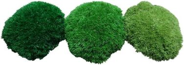 Збережений мох на вагу - Прикраса з моху для вас - Кулястий мох, збережений для вашого дому - Створіть картину з моху - підходить як моховий тераріум і ліси у склі (100 г світло-зеленого)