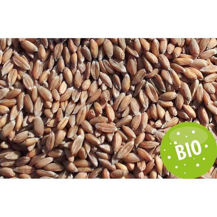 Подушка для шиї та шийного відділу хребта - шия плечі спина - органічна тканина квітковий синій - подушка з органічної спельти - грілка для подушки для шиї - подушка з зернової спельти для шиї та плечей