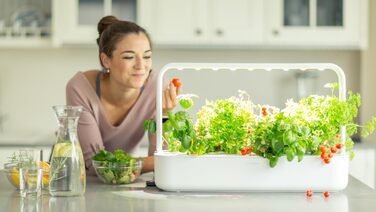 Кімнатний сад Click and Grow, простіше, ніж гідропонна система вирощування, Розумний сад зі світлодіодним підсвічуванням, трав&39яний сад, крита теплиця з 9 рослинними коробочками в комплекті (білий)