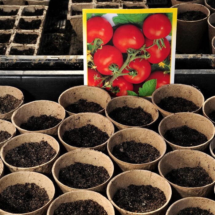 Біорозкладних горщиків для розсади, целюлозні горщики для насіння, ВxГ 7,5 x 8 см, круглі контейнери для розсади, маленькі, натуральні, 600