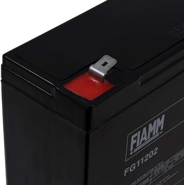 Акумуляторна батарейка для підгузків FIAMM FG11202 Vds, 6 В, свинцево-кислотна Батарея для підгузків