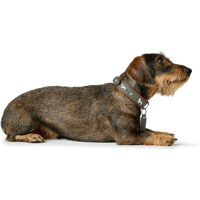 Нашийник для такси Мюнхен, колір коньяк/чорний, шкіра, вишукані декоративні елементи для такс, м'який та міцний, не пошкоджує шерсть, розкішний, екологічно виготовлений, стійкий, вироблено в Німеччині, розмір 32 коньяк/чорний 32