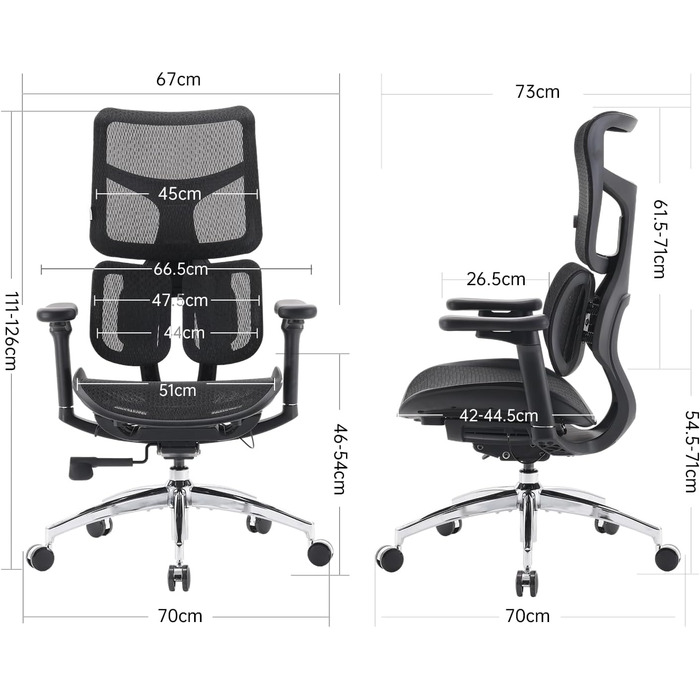 Ергономічне офісне крісло SIHOO з подвійною динамічною поперековою опорою, робоче крісло з 5-позиційною регульованою спинкою, офісне крісло з 4D-координованими підлокітниками (S100 Black) Чорний сучасний