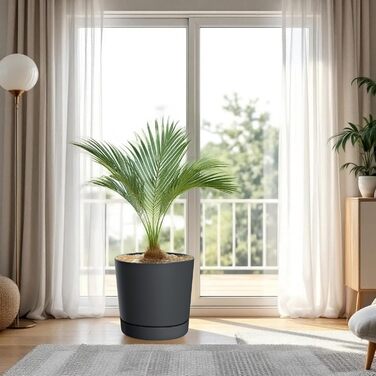 Пластиковий горщик XL з блюдцем, круглий, антрацит - Ø 47 см - великий квітковий горщик зі знімною основою, стійкий до ультрафіолету - садова прикраса, горщик, квітковий горщик, рослинний горщик, контейнер для рослин, морозостійкий