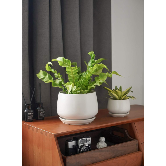 Керамічні квіткові горщики LE TAUCI з блюдцями, набір маленьких квіткових горщиків діаметром 101316 см, набір з 3 горщиків для кімнатних рослин, горщики з дренажним отвором, білі