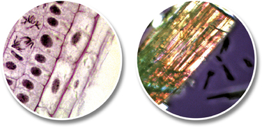 Мікроскоп National Geographic Junior 40x-640x + Телескоп 50/360 з кейсом (9118200)