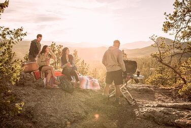 Газовий гриль Weber Traveler/Складана конструкція з колесами, автоматичним блокуванням кришки та термометром кришки, 1 конфорка, ширина 111 см, площа гриля 63 x 34 см, чорний (9010079)