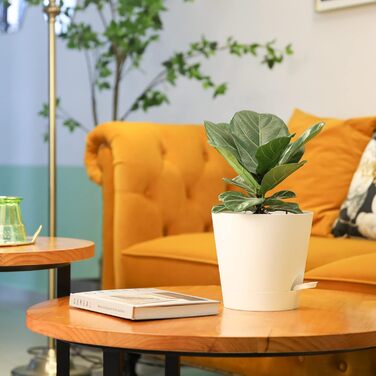 Пластиковий квітковий горщик T4U з системою поливу, набір із 6 самополивних кашпо з блюдцями, круглі кашпо для кімнатних та балконних садових рослин, сукулентів, кактусів (20 см, білий) 20 см білий