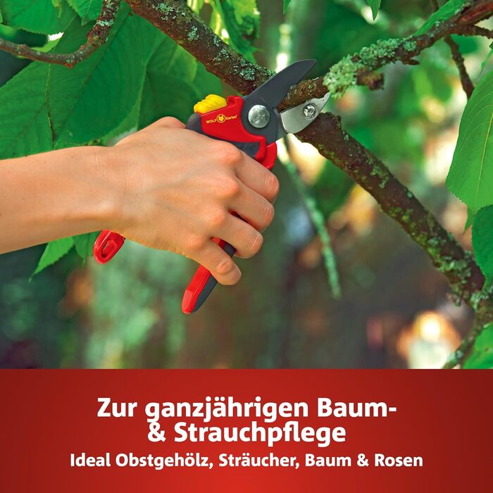 Обрізувачі дерев WOLF-Garten PREMIUM PLUS RS 4000 з ковадлом (для гілок діаметром до 25 мм, з лезами з антипригарним покриттям, ідеально підходять для звичайної обрізки дерев) 73CFA005650, червоно-жовті, Premium Plus Single