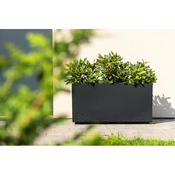 Квітковий горщик Ondis24, Кашпо під бетон Caro, XXL Кашпо на колесах Виготовлено зі 100 переробленого пластику, Велике вуличне кашпо (Антрацит, 80 см) Антрацит 80 см
