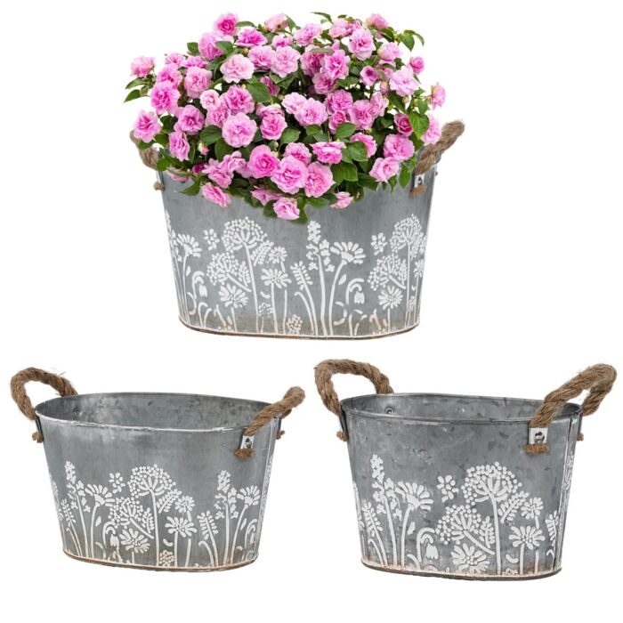 Набір вінтажних вуличних квіткових горщиків, 3 предмети, оцинковані металеві горщики для рослин з мотузковими ручками, відра для квітів/горщики для трав для кухні, балкону та саду, 19/22,5/26 см