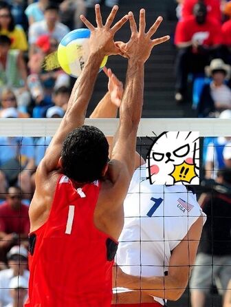 Волейбольна сітка (змінне полотно) VEVOR зі сталевим тросом, 90 x 90 см, для міні-волейболу, басейну, заднього двору