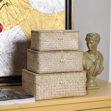 Кошик для зберігання морської трави з кришкою, плетена прямокутна ротангова скринька ручної роботи для іграшок, одягу, книг, ключів, органайзера для макіяжу, набір з 3 полиць-кошиків