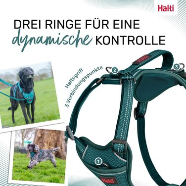 Шлейка для собак HALTI Anatomy з ручкою свобода рухів для вашого улюбленця. 3 точки кріплення для повідка, неопренова підкладка, регульована та світловідбиваюча (Розмір L, Блакитно-зелений) Блакитно-зелений L