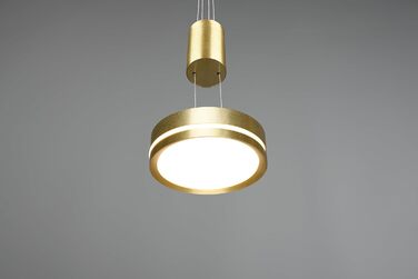 Світлодіодний торшер Trio Lights Franklin 426510208, Метал в т.ч. 35 Вт LED, Зміна кольору, Диммер (латунний матовий, підвісний 1-полум'я)