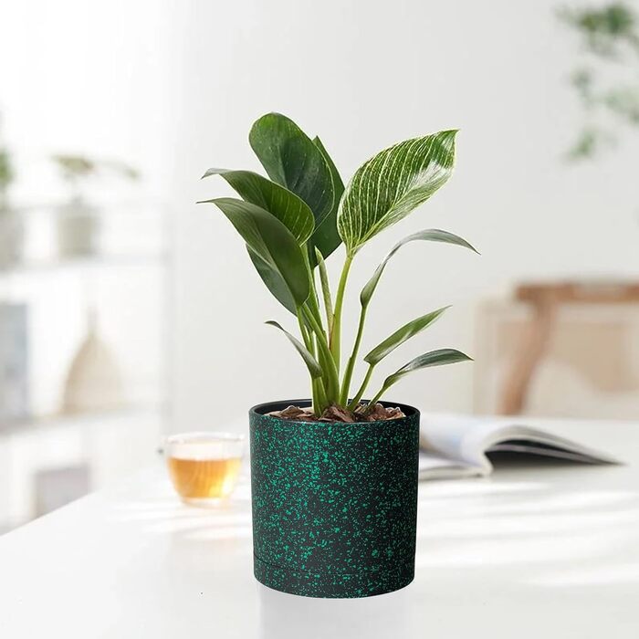 Набір з 5 квіткових горщиків з блюдцями, 17,8 см/15,2 см/14 см/12,7 см/10,2 см, пластикові кашпо, набір квіткових горщиків, ідеально підходить для кімнатних та балконних садів, чорний із зеленими цятками 765,554 дюймів (5 шт.) чорний із зеленими цятками