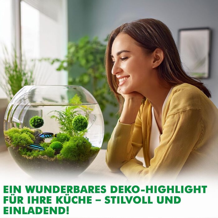 Ук моху, акваріумний мох, справжні мохові кульки для акваріумів, справжня кладофора, натуральні водні рослини для нано- та великих акваріумів, екологічно чисті та стійкі розміри кульок Marimo Moss Balls. 2-3 см, 1