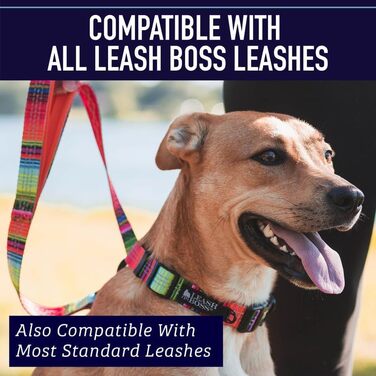 Нашийник для собак Leashboss з яскравим візерунком та світловідбиваючими нитками, колекція Boho, середній розмір (34-50 см, ширина 2.5 см)